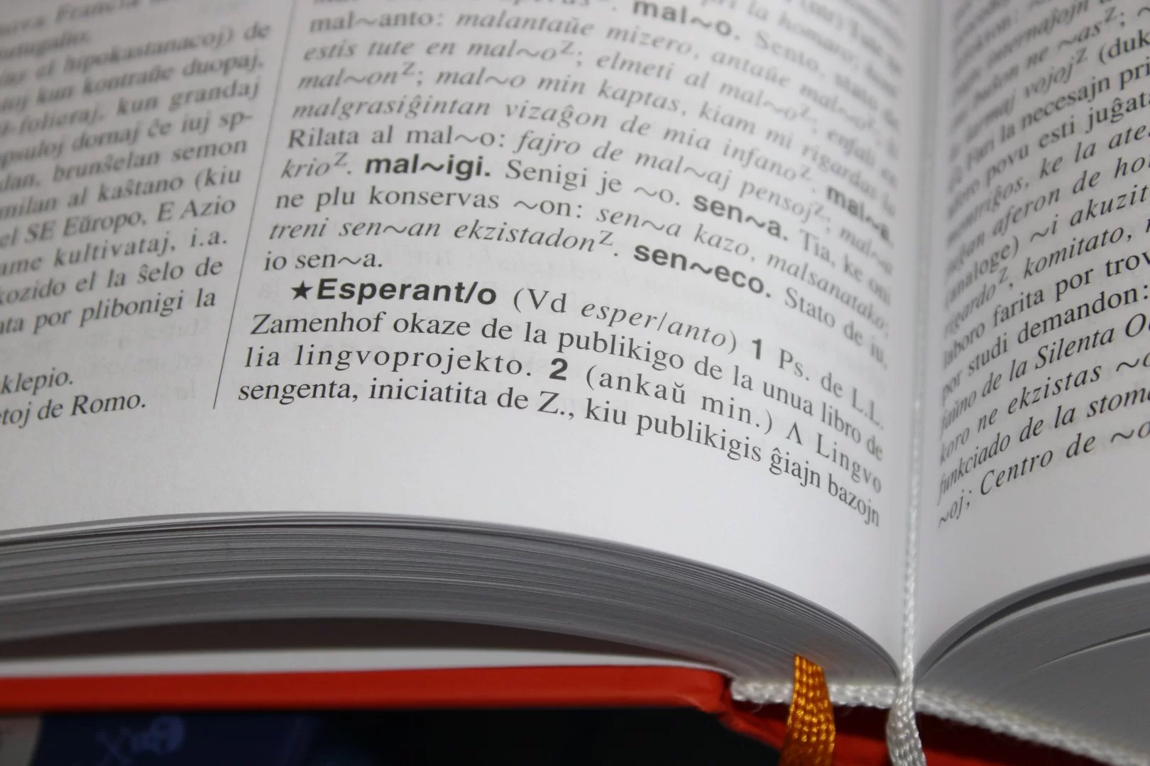 Esperanto kalbos kursų susitikimas