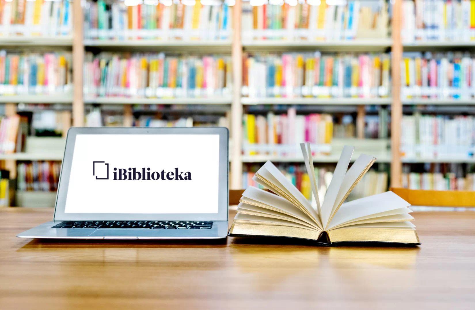 iBiblioteka: funkcijos ir galimybės