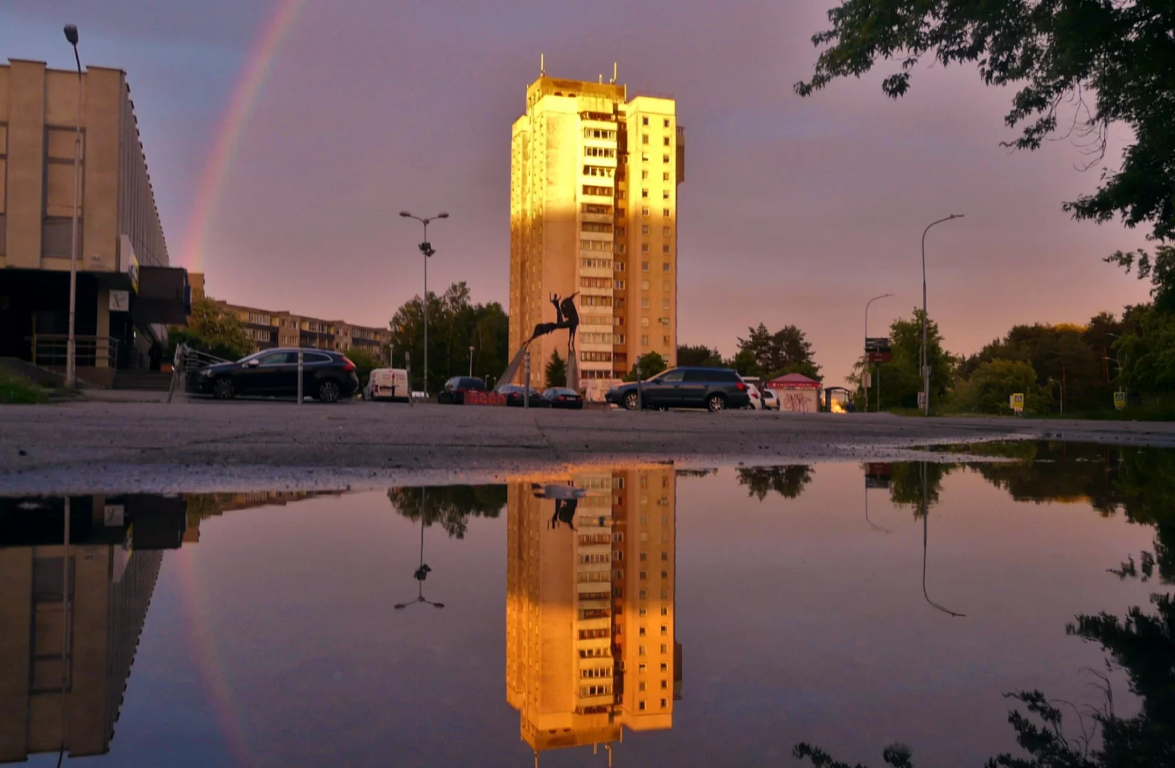 Knygos „Atrask Lazdynus: žygeivio vadovas“ pristatymas