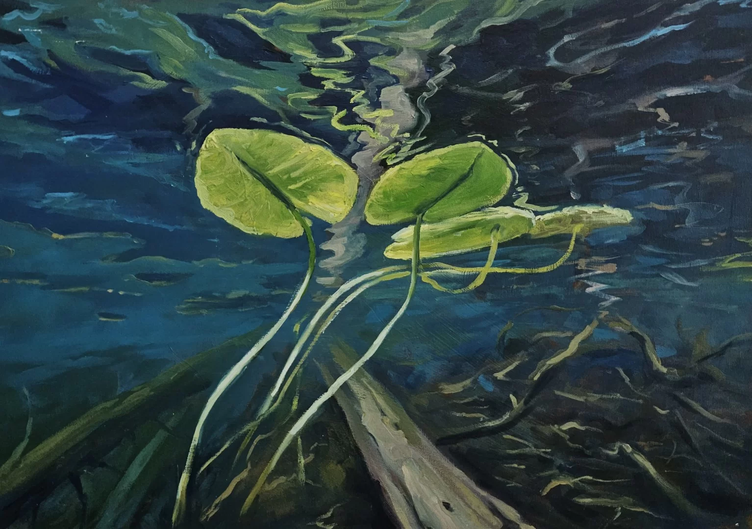 majausko-paroda-1