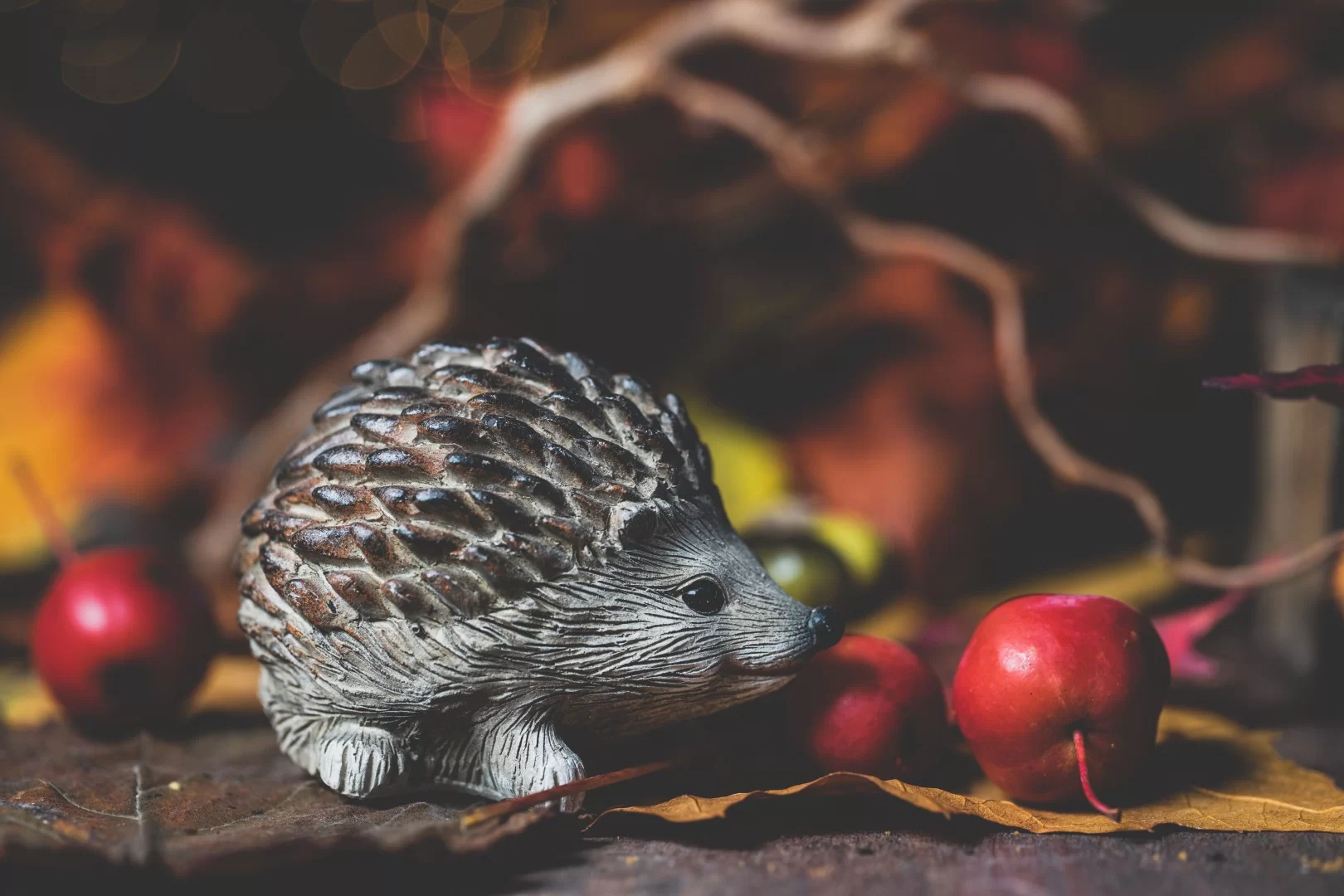Edukacija „Rudens stebuklai“