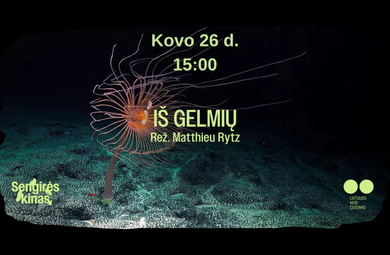 SENGIRĖS KINAS Antakalnio bibliotekoje: IŠ GELMIŲ