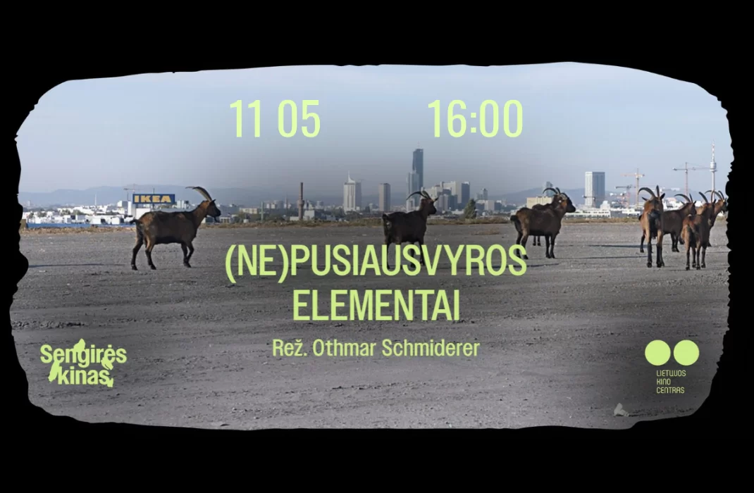SENGIRĖS KINAS Antakalnio bibliotekoje: (NE)PUSIAUSVYROS ELEMENTAI