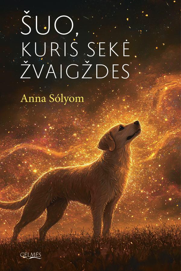 Tomo Zano knygų klubas – „Šuo, kuris sekė žvaigždes“