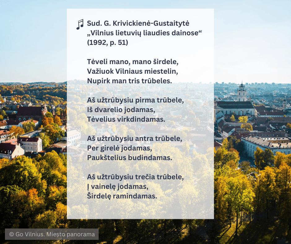 700-eiluciu-vilniui-04