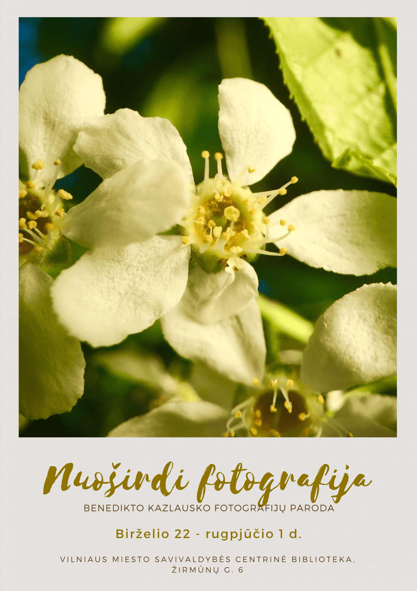 PARODA BAIGĖSI. Benedikto Kazlausko fotografijų paroda „Nuoširdi fotografija“