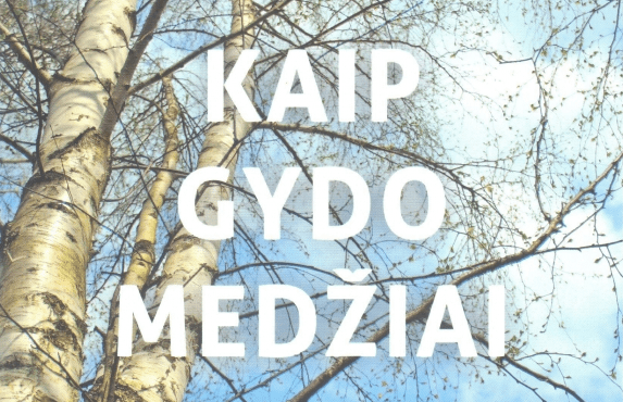 Knygos „Kaip gydo medžiai“ pristatymas