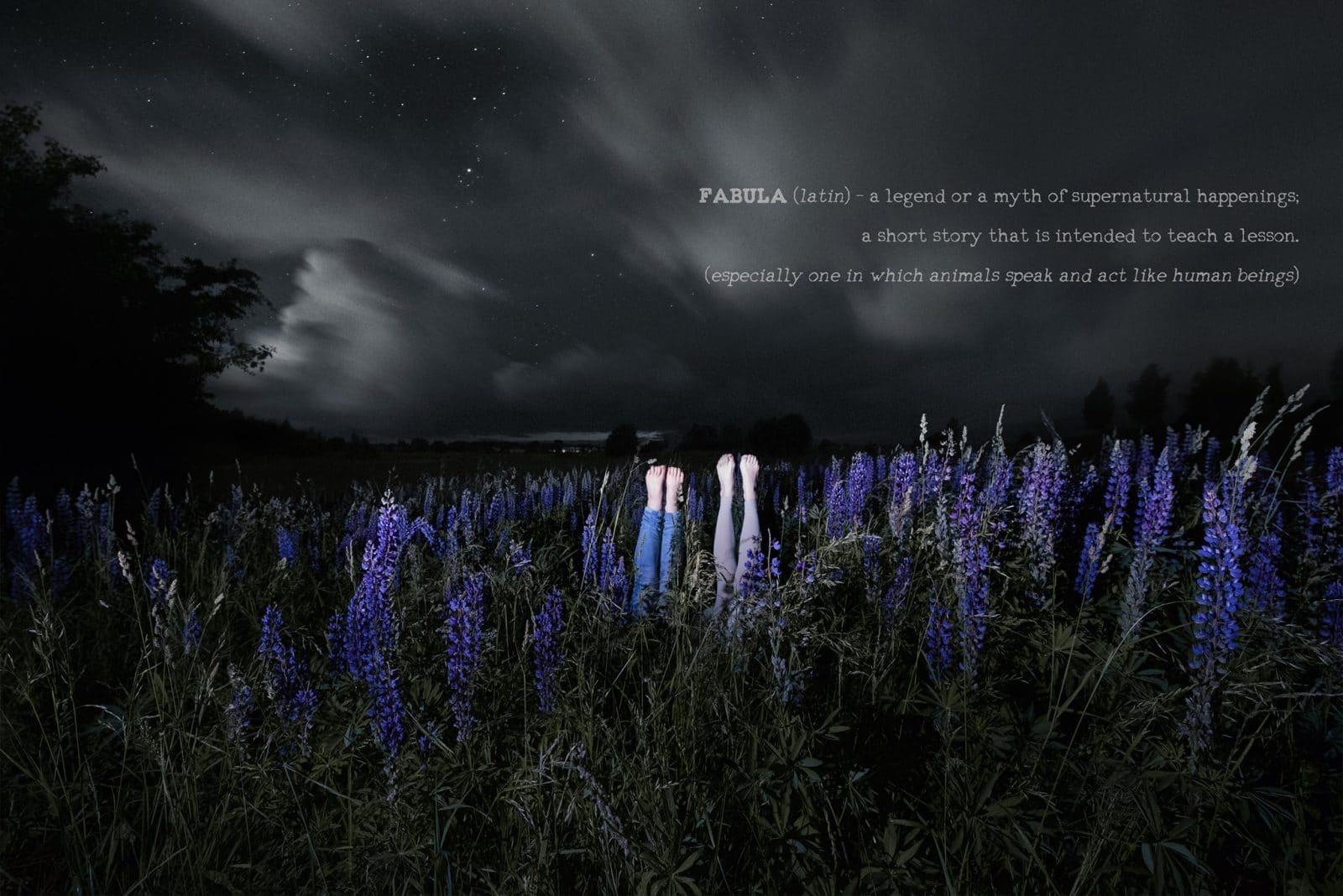 PARODA BAIGĖSI. Fotografijų paroda „Fabula“