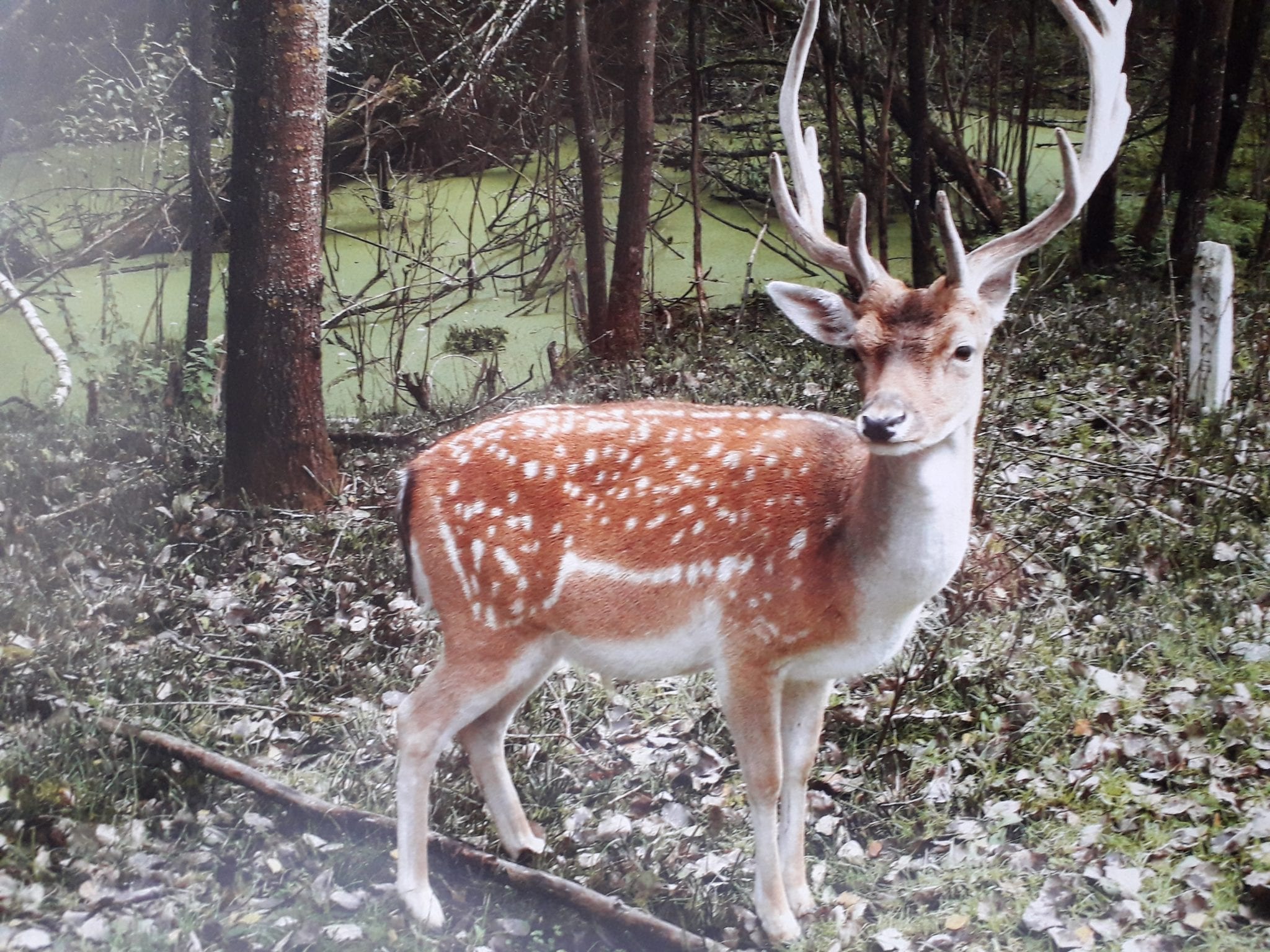 Fotografijų paroda „Gamtos vartus atvėrus“