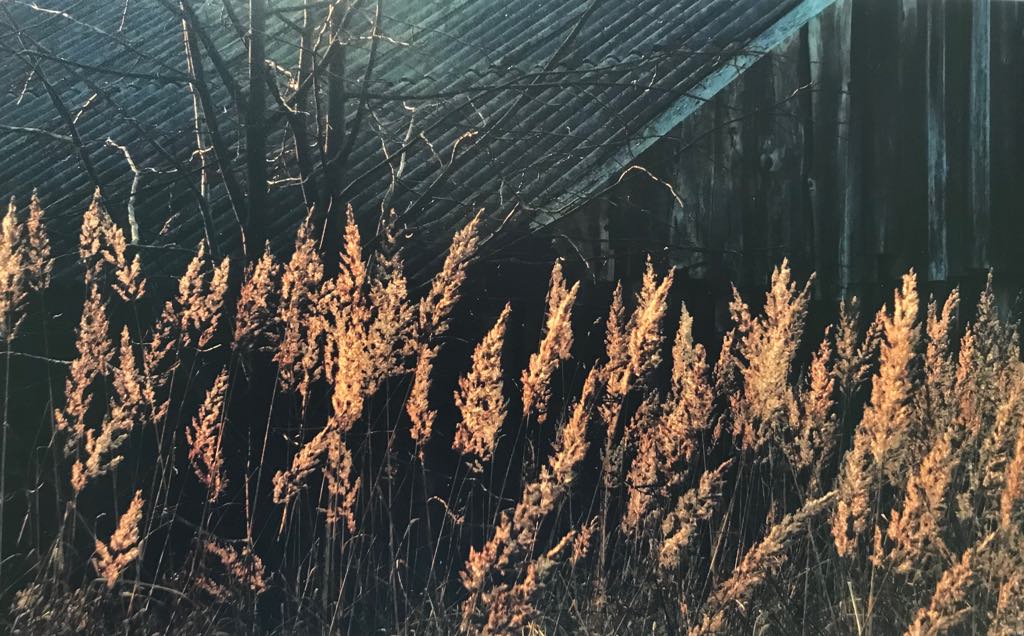 Jelenos Konickajos fotografijų paroda „Mozaika“