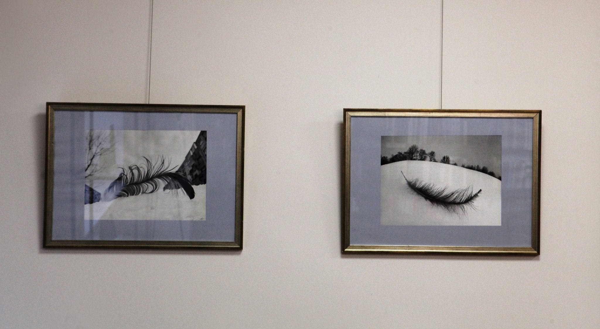 Fotografo Audriaus Zavadskio fotografijos paroda