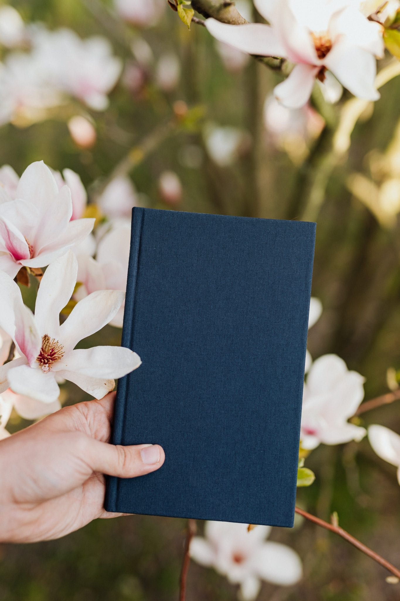 Nacionalinė Lietuvos bibliotekų savaitė | Tomo Zano biblioteka kviečia į du rytmečius su poezija
